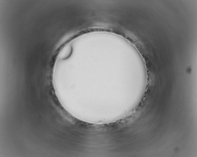 X0000116841208201001291657