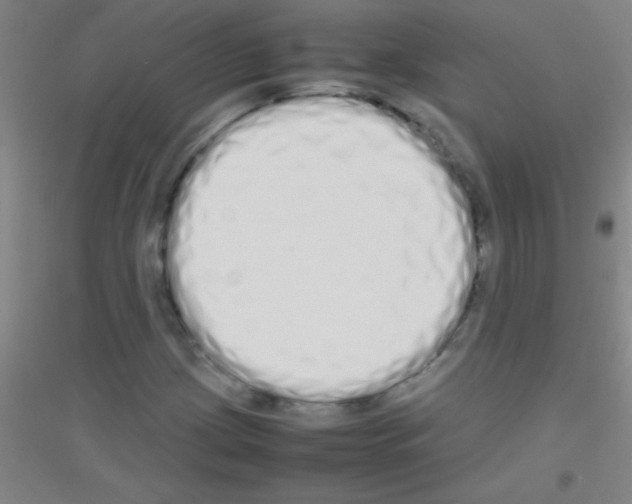 X0000116841209201001291657