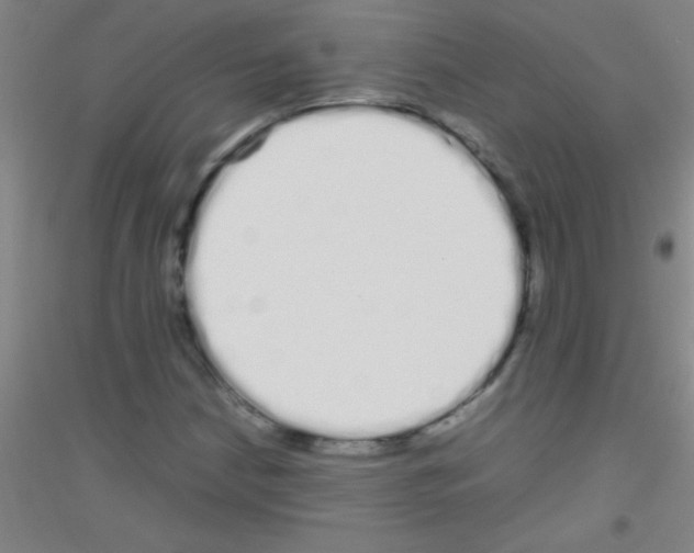 X0000116841210201001291657