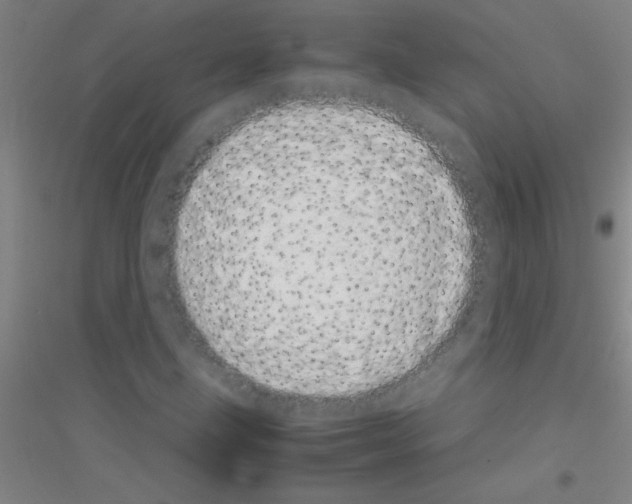 X0000116841211201001291657