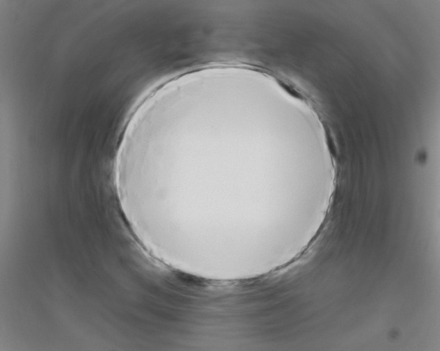 X0000116841212201001291657
