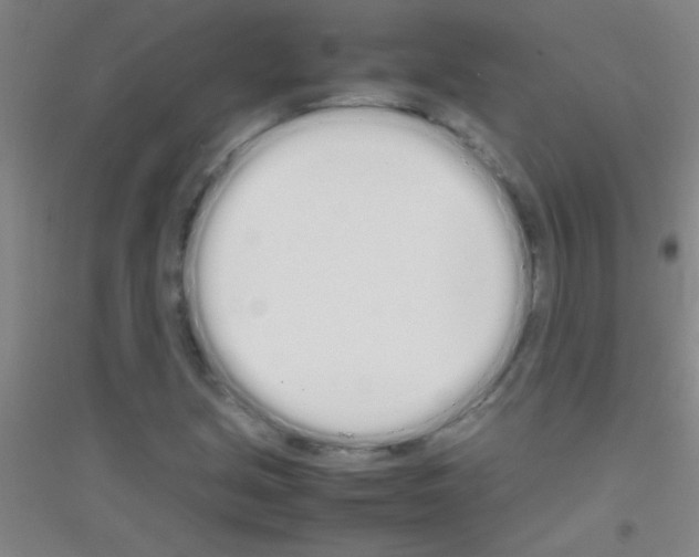 X0000116841213201001291657