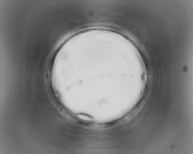 X0000116841214201001291657