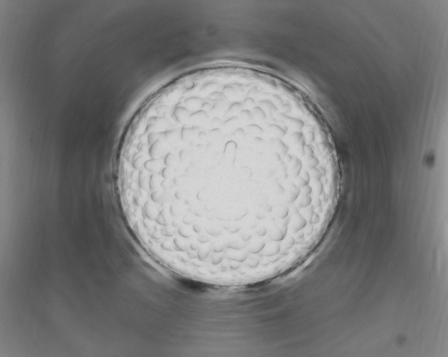 X0000116841216201001291657