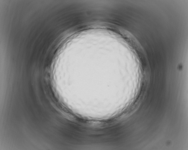 X0000116841217201001291657