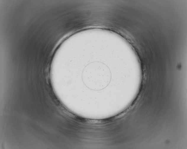 X0000116841218201001291657