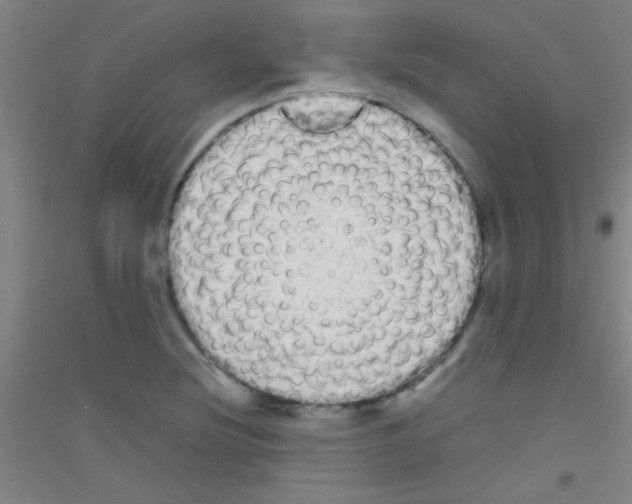X0000116841220201001291657