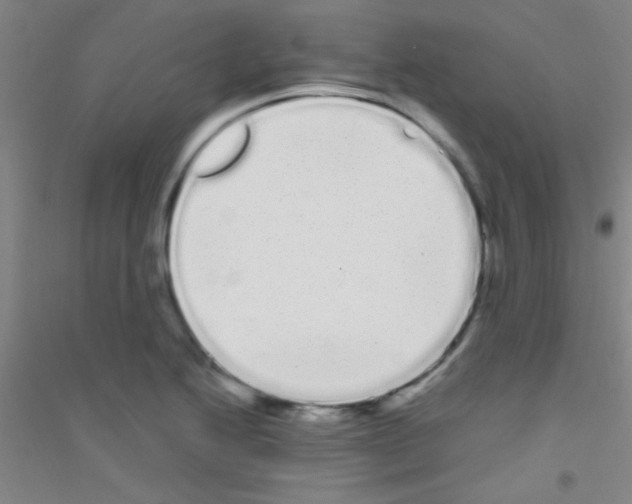 X0000116841222201001291657