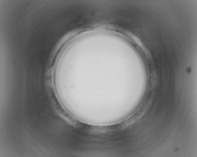 X0000116841223201001291657