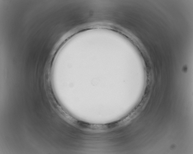 X0000116841224201001291657
