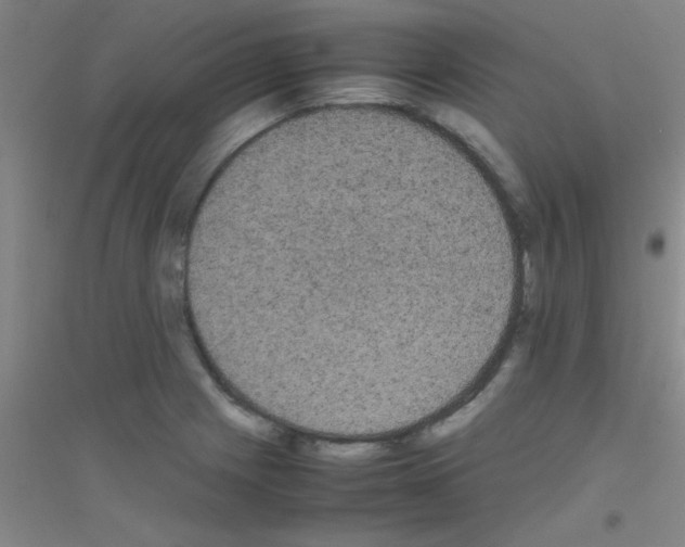 X0000116841225201001291657