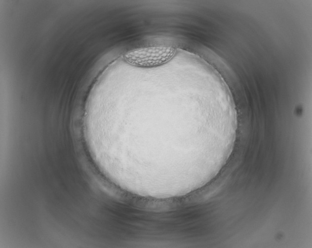 X0000116841227201001291657