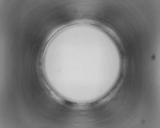 X0000116841228201001291658