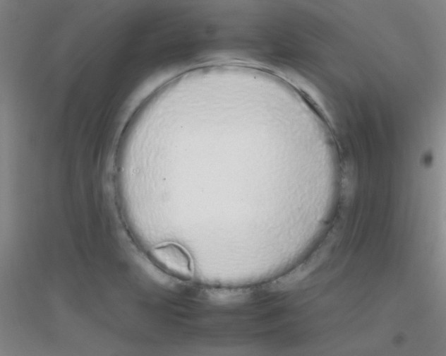 X0000116841231201001291658