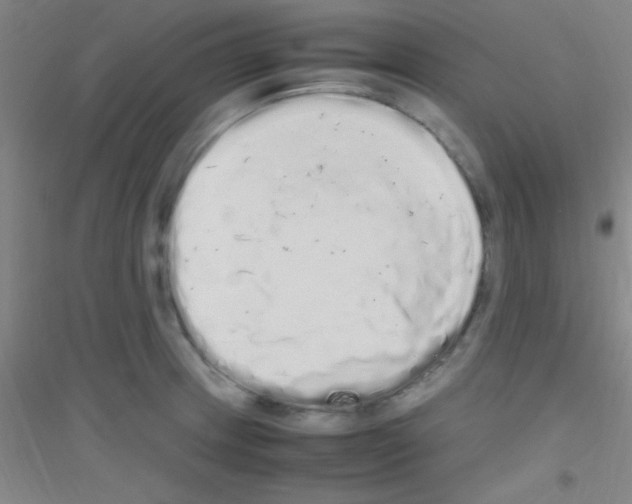 X0000116841233201001291658