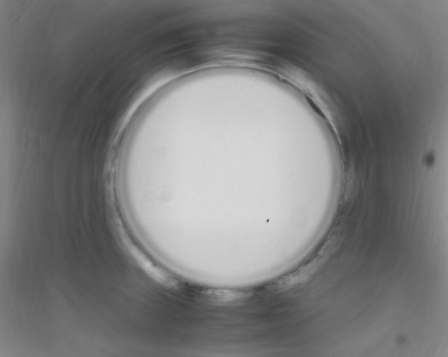 X0000116841235201001291658