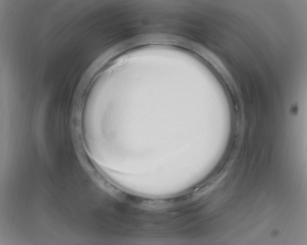 X0000116841237201001291658