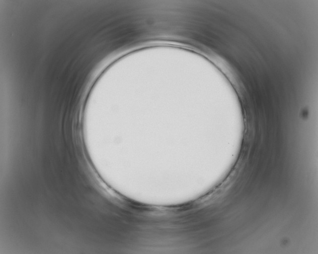 X0000116841238201001291658