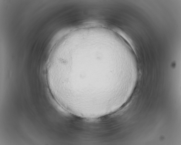 X0000116841239201001291658