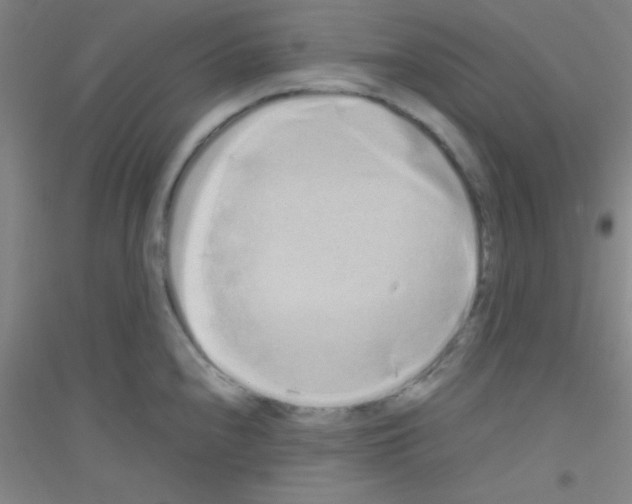 X0000116841240201001291658