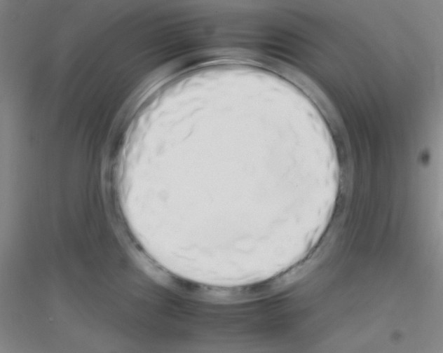 X0000116841241201001291658