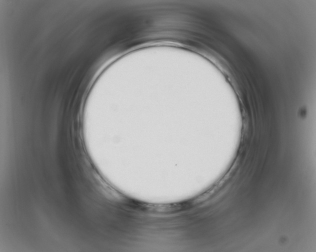X0000116841242201001291658