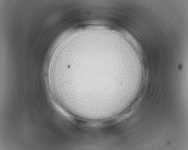 X0000116841243201001291658
