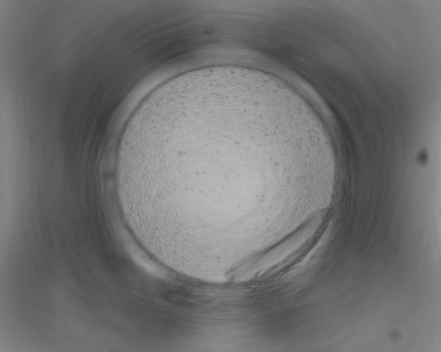 X0000116841246201001291658