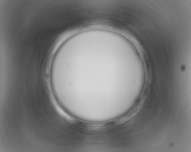 X0000116841247201001291658