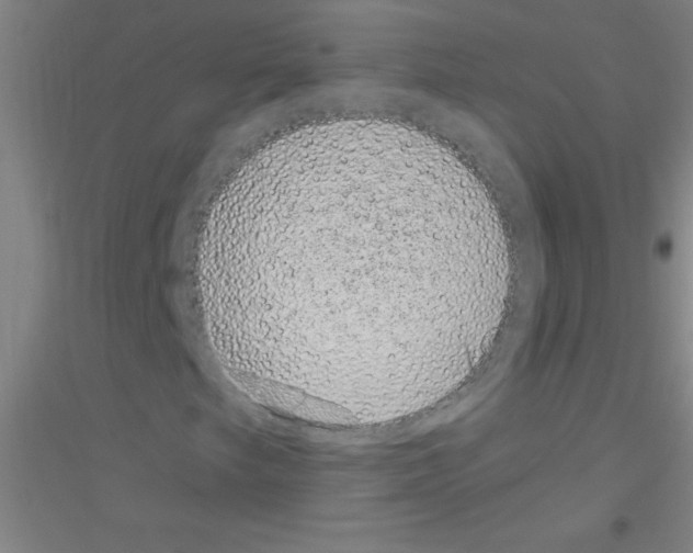 X0000116841249201001291657