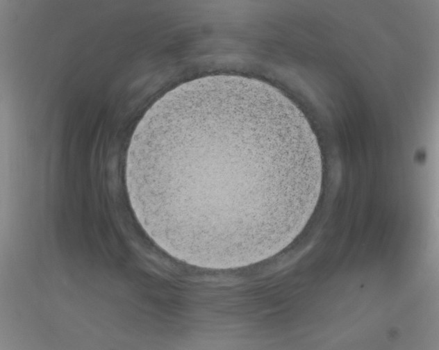 X0000116841250201001291657
