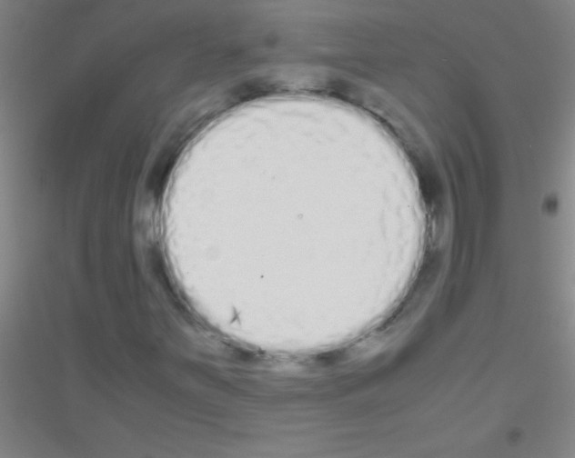 X0000116841251201001291657