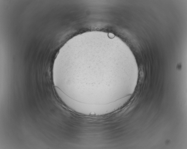 X0000116841252201001291657