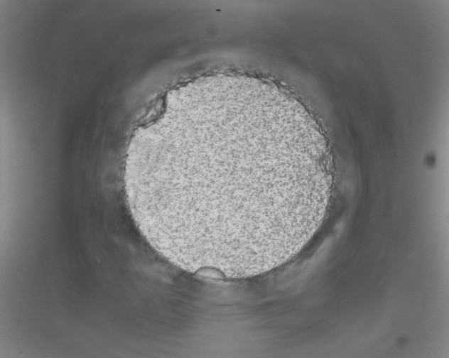 X0000116841253201001291657