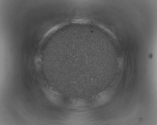 X0000116841254201001291657