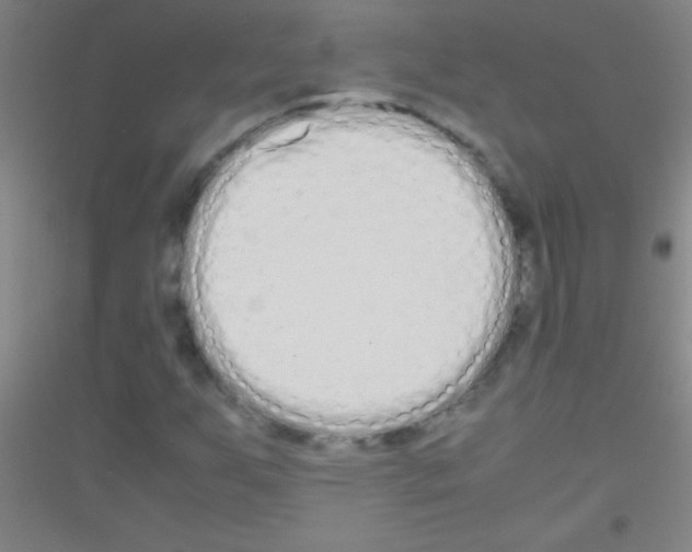 X0000116841255201001291657