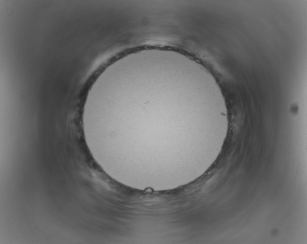 X0000116841256201001291657