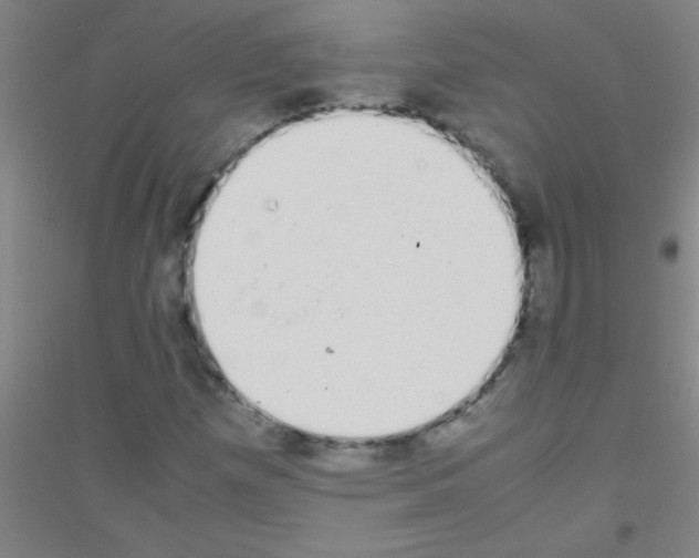 X0000116841257201001291657