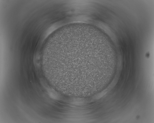 X0000116841258201001291657