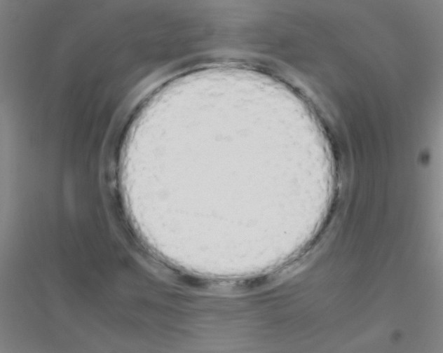 X0000116841259201001291657