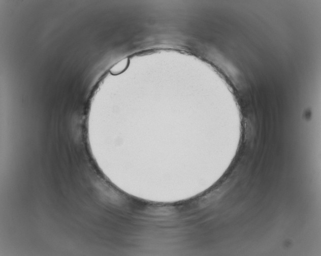 X0000116841260201001291657
