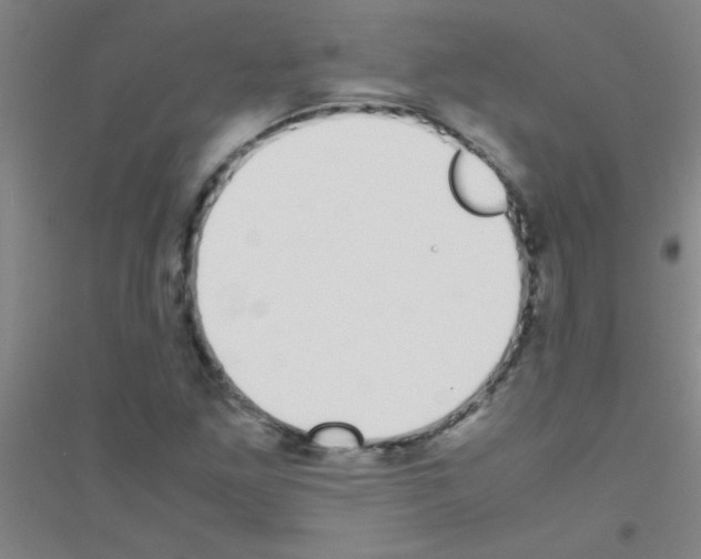 X0000116841261201001291657