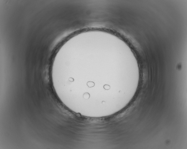 X0000116841262201001291657