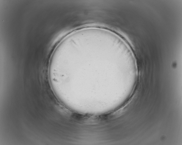 X0000116841263201001291657