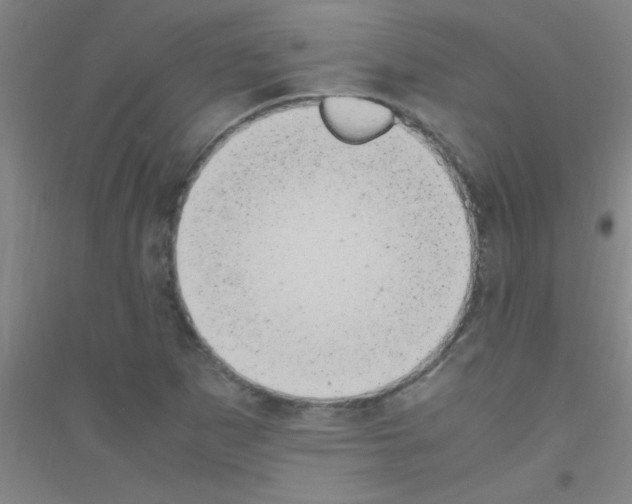 X0000116841265201001291657