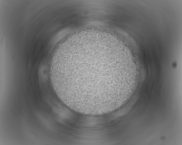 X0000116841266201001291657
