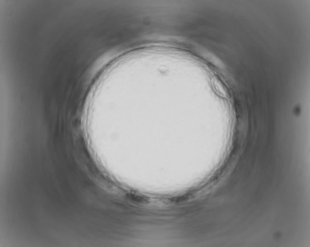X0000116841267201001291657