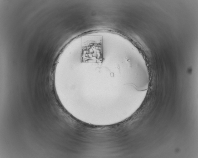 X0000116841268201001291657