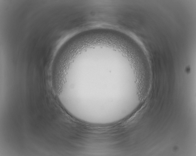 X0000116841269201001291657