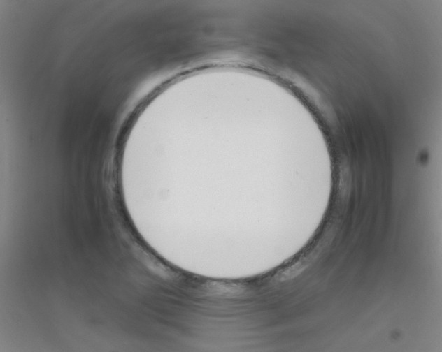 X0000116841270201001291657
